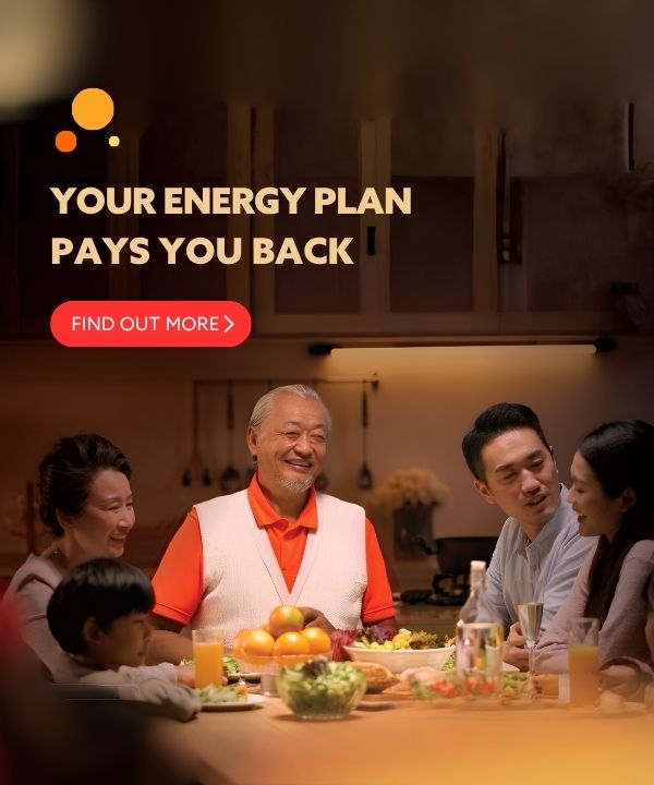 pay you back 2026