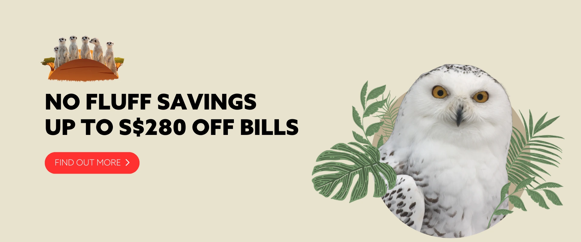 NO FLUFF SAVINGS